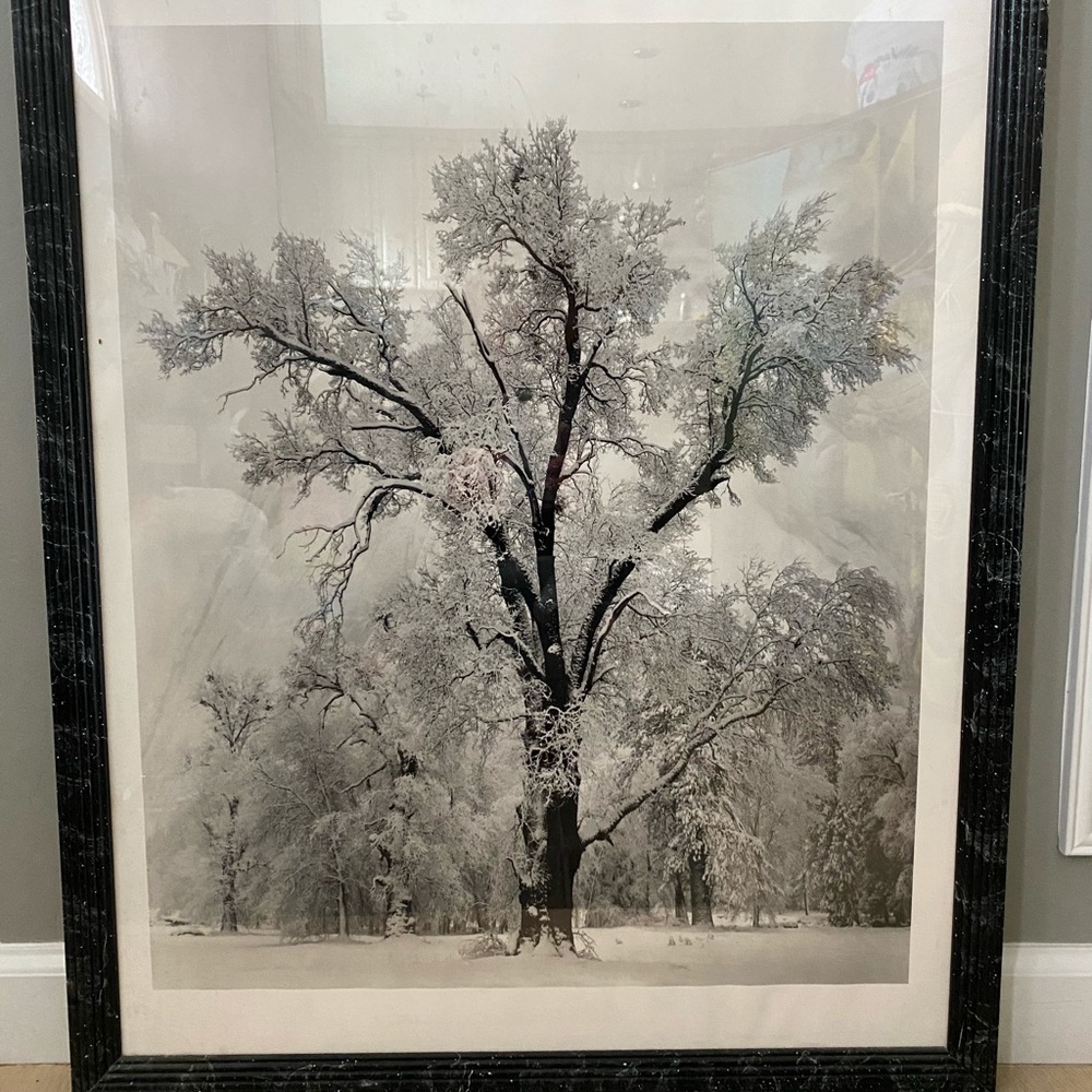 Framed print
